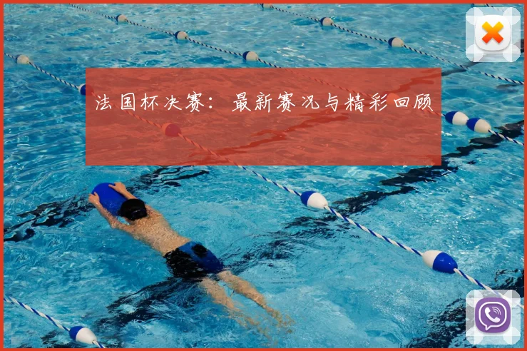 法国杯决赛：最新赛况与精彩回顾
