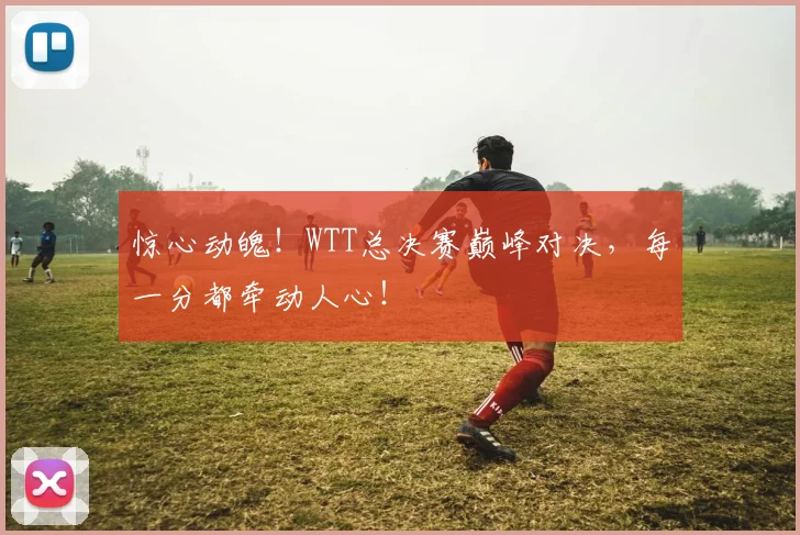 惊心动魄!WTT总决赛巅峰对决,每一分都牵动人心!