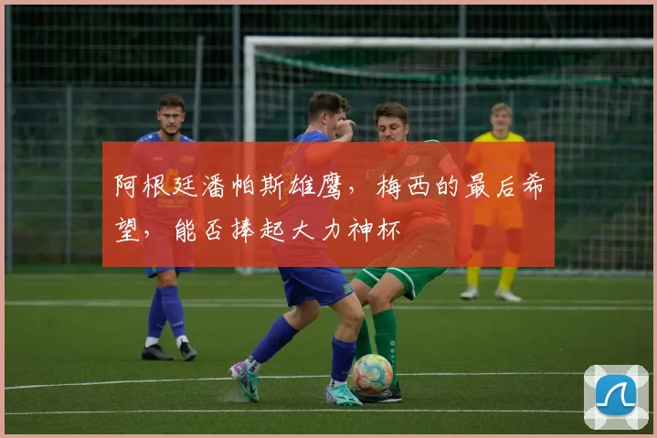 阿根廷潘帕斯雄鹰,梅西的最后希望,能否捧起大力神杯
