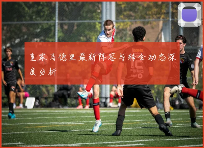 皇家马德里最新阵容与转会动态深度分析