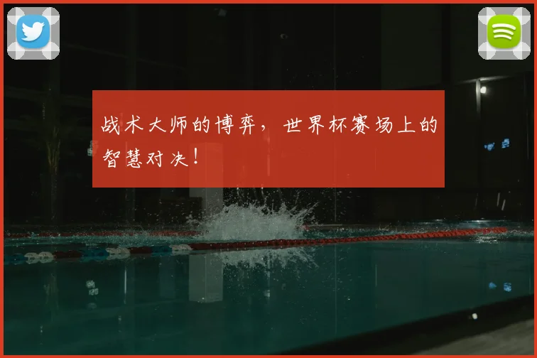 战术大师的博弈,世界杯赛场上的智慧对决!
