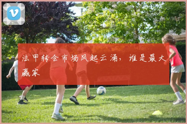 法甲转会市场风起云涌,谁是最大赢家