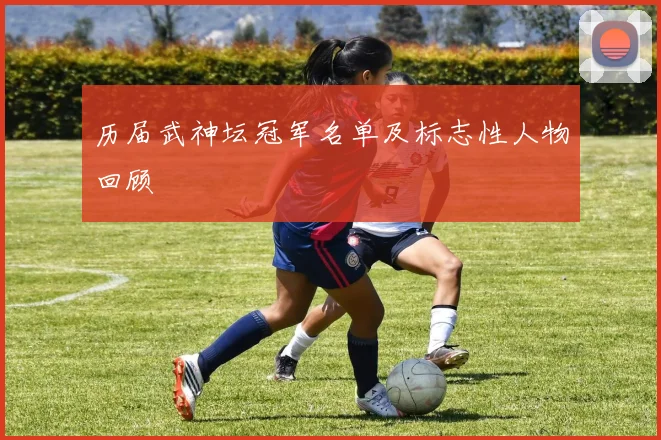 历届武神坛冠军名单及标志性人物回顾