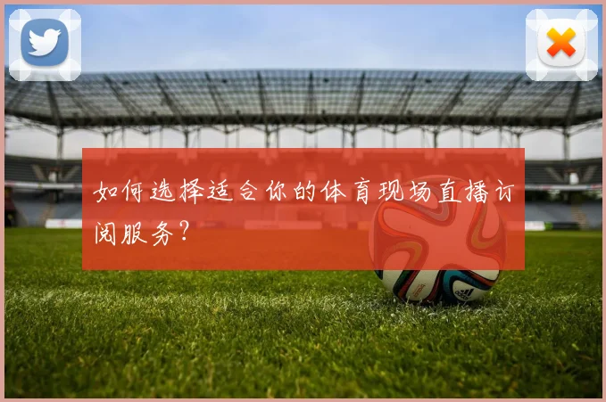 如何选择适合你的体育现场直播订阅服务？