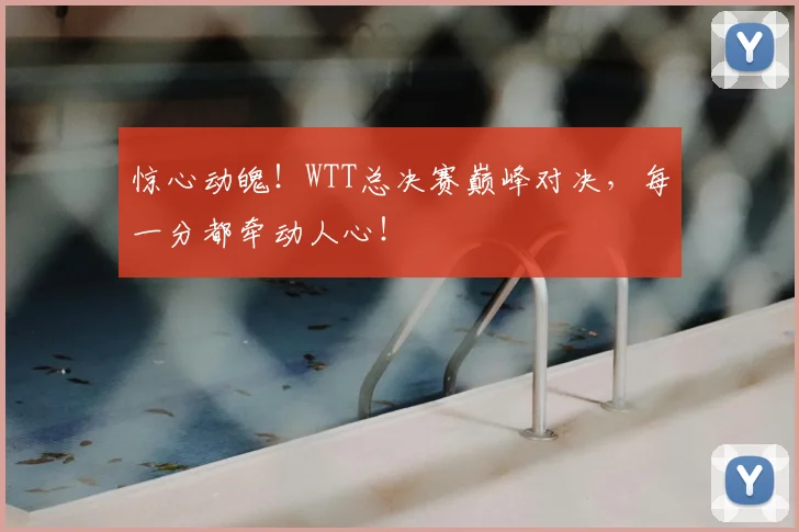 惊心动魄！WTT总决赛巅峰对决，每一分都牵动人心！
